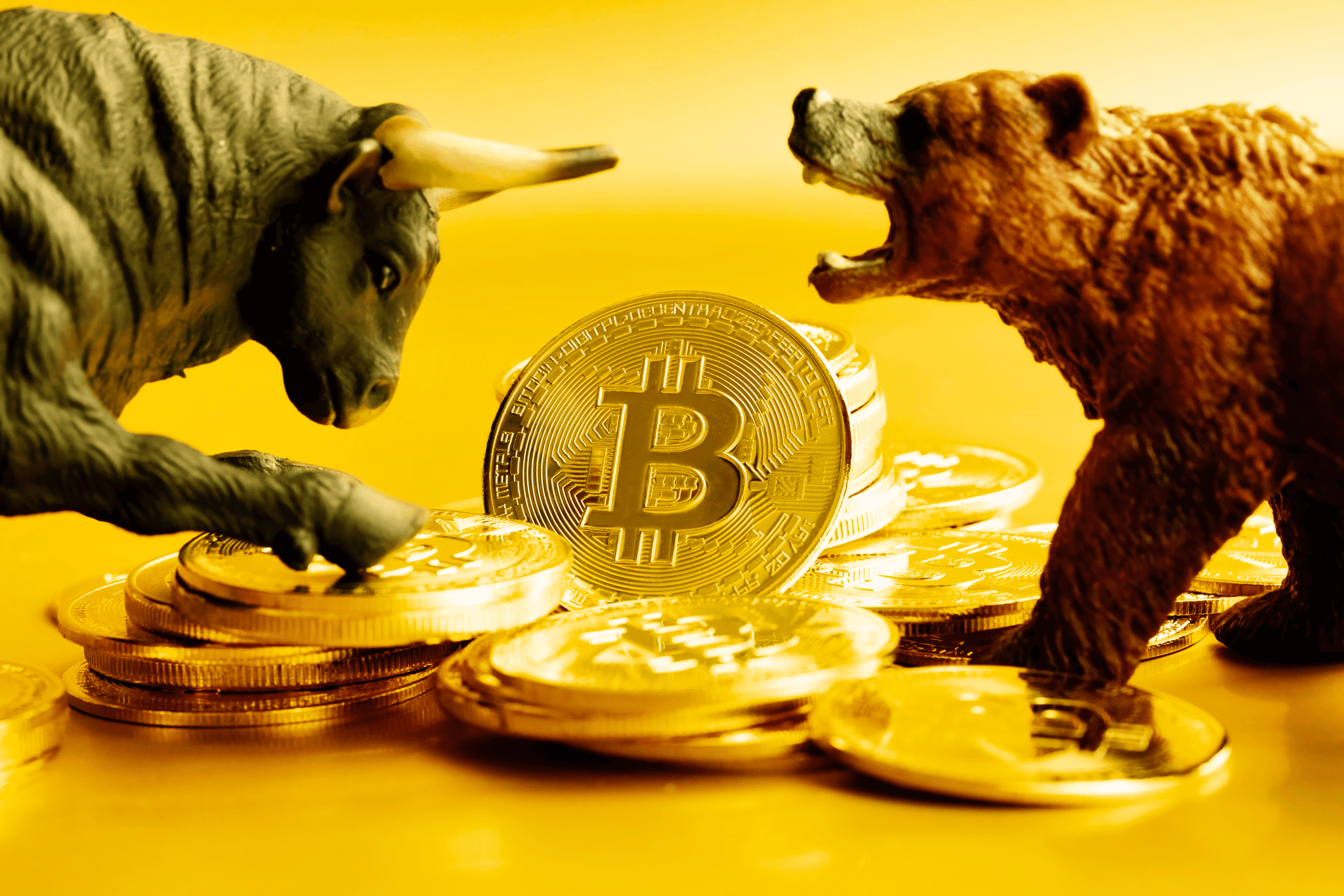 Berapa Sebenarnya Biaya Investasi Saham yang Wajib Kamu Tahu? Hindari Biaya Tak Terduga!