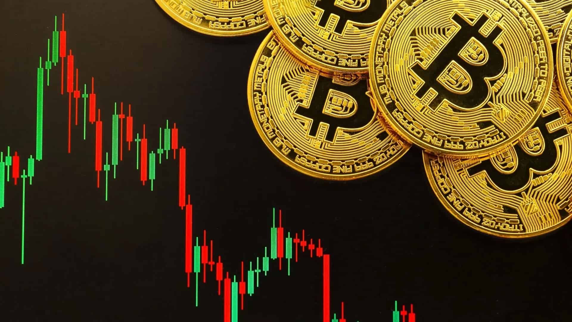 Apa Itu Investasi Reksadana untuk Pemula? Pahami Agar Aman & Menguntungkan!